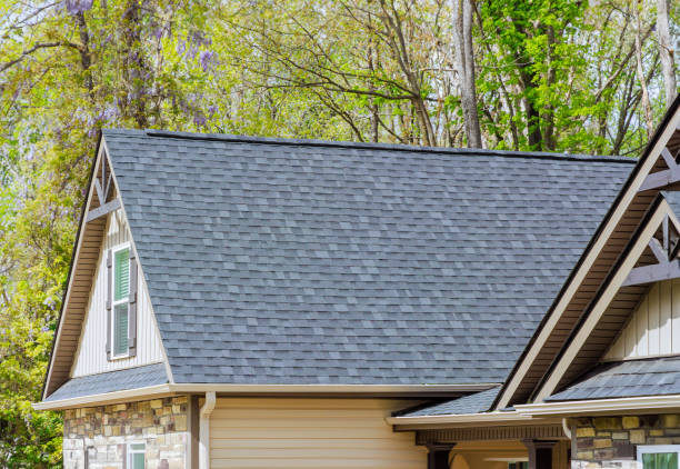 Best Solar Panel Roofing Installation  in East Renton Highlands, WA
